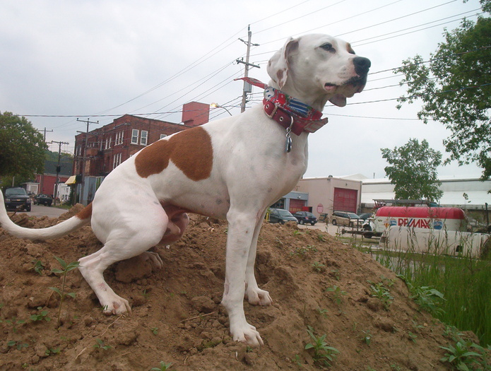 Boomer looking Heroic