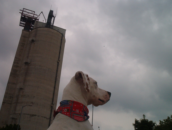Boomer at harbour