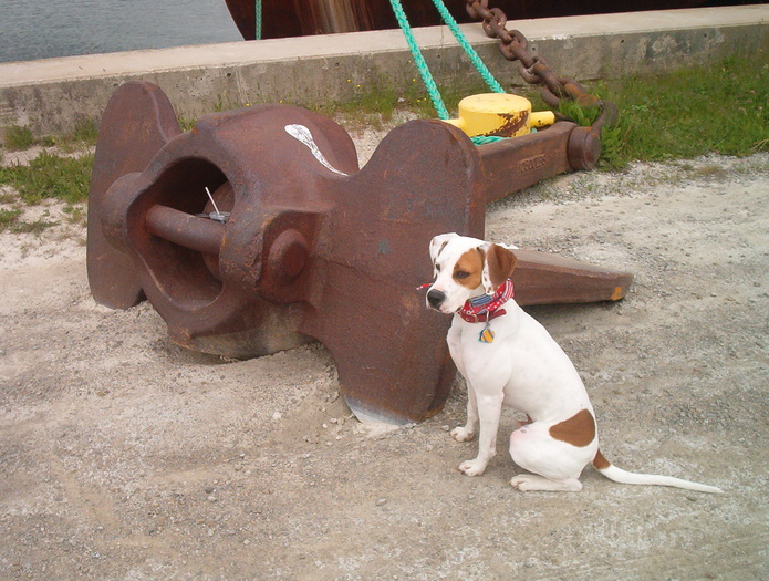 boomer and boat anchor