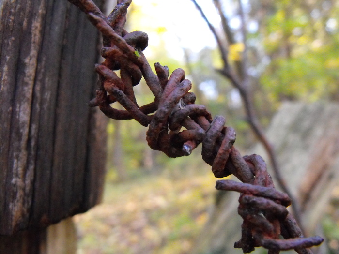 Rust Wire