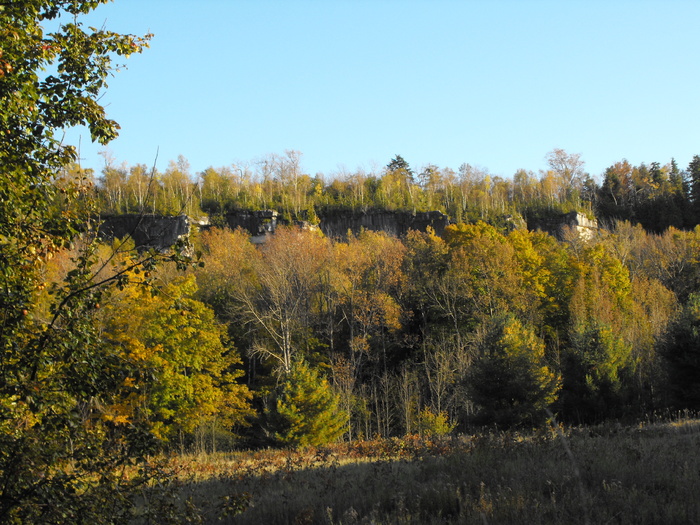 Clearing
