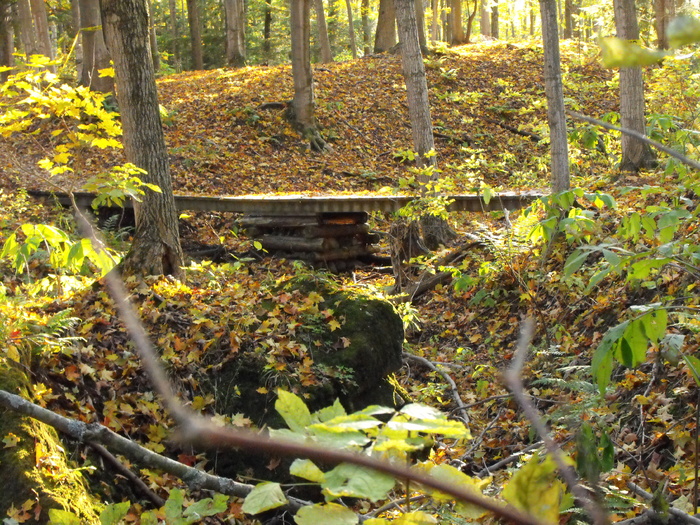 Foot Bridge