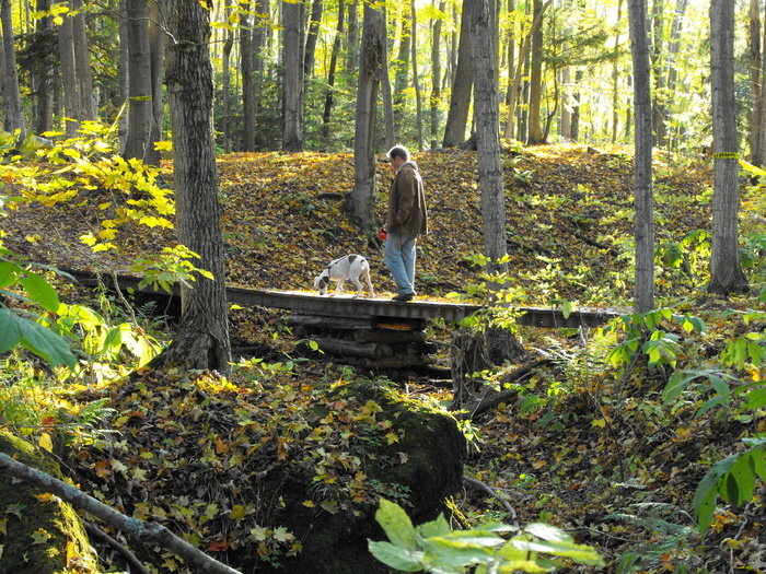 Travelrs on Foot Bridge