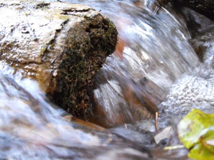 Babbling brook