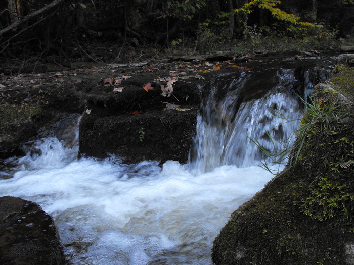 Streams
