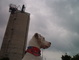 Boomer at harbour