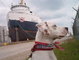 Boomer and boat at harbour