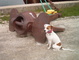 boomer and boat anchor