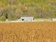 The Distant Farm