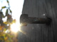 Nailed to wood