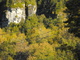Face of the Cliff