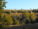 Clearing