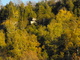 Peek of the Cliff