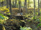 Travelrs on Foot Bridge