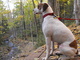 Hero of River Vally