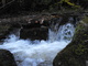 Streams